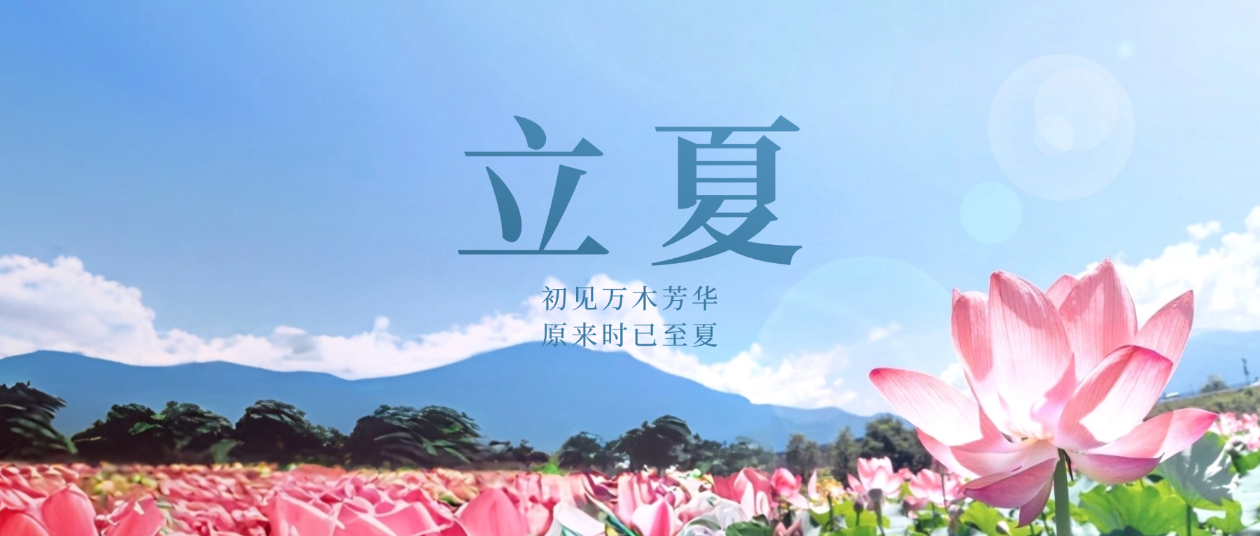 立夏丨初見萬(wàn)木芳華 原來(lái)時(shí)已至夏
